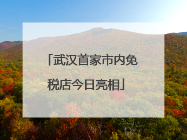 武汉首家市内免税店今日亮相